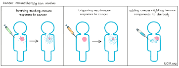 Immunotherapy for cancer