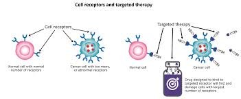 Targeted Therapy for cancer